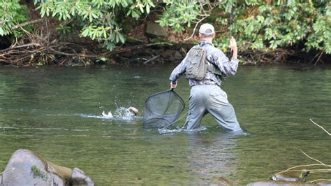 NC Trout Fishing - Upper Nantahala River & Gorge - Fishing Guides & Licenses