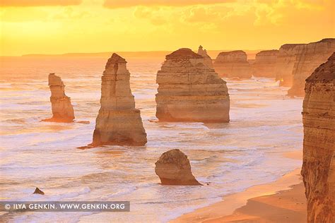 Golden Sunset at The Twelve Apostles, Great Ocean Road, Victoria, Australia - dewynter