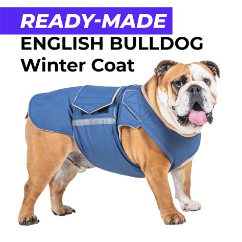 Ready-made English Bulldog Winter Coat English Bulldog - Etsy