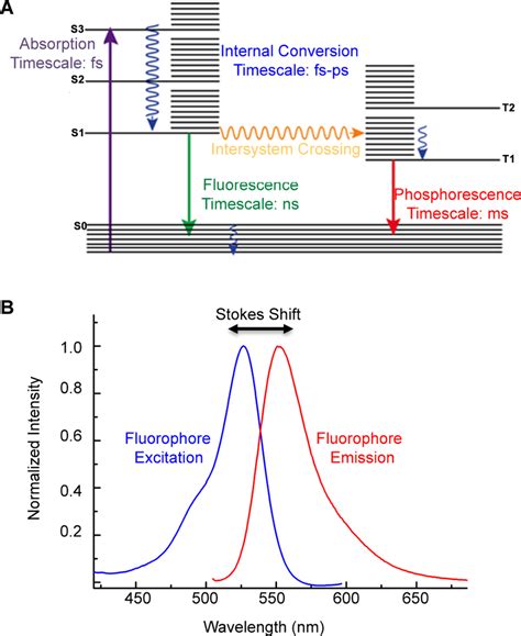 (A) Jablonski diagram including typical time scales of photophysical ...