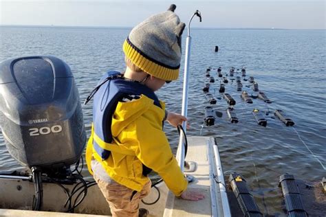 Climate Resilient Oyster Farm Equipment - Grayson Bay Oyster Company ...