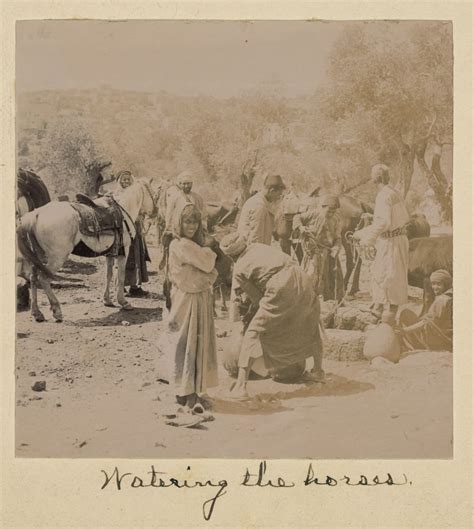 Watering the horses. June, 1904 - Qaryet al-'Inab/Abu Goush - Jerusalem ...