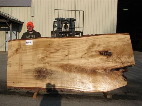 Cottonwood - Big Wood Slabs Wood Slab Table, Tree Furniture, Hardwood Lumber, Got Wood, Big Tree ...