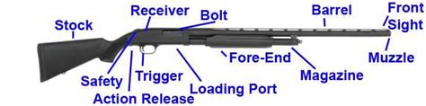 The Essential Guide to Understanding the Parts of a Shotgun: Diagram ...