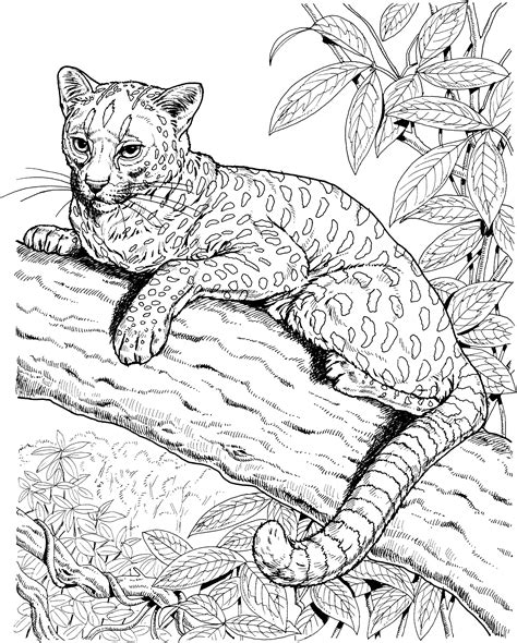 Free Jaguar Coloring Pages