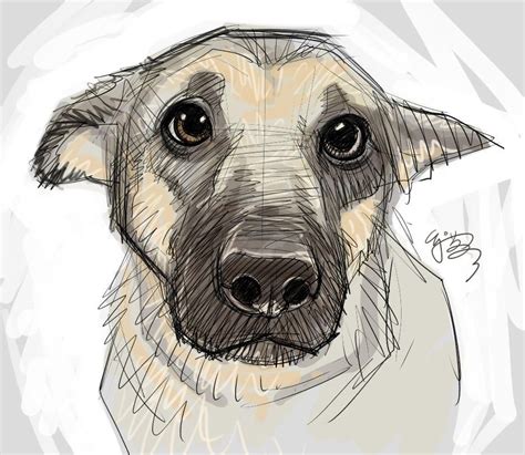 Puppy-eyes by EJ-Su | Animal drawings, Dog art, Dog drawing