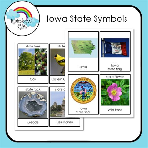 Iowa State Symbols | State symbols, Vocabulary cards, Symbols