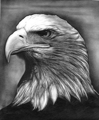 Lecture d'un message - mail Orange | Realistic animal drawings, Eagle drawing, Animal drawings