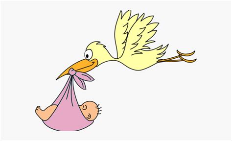 Pelican clipart baby, Pelican baby Transparent FREE for download on ...