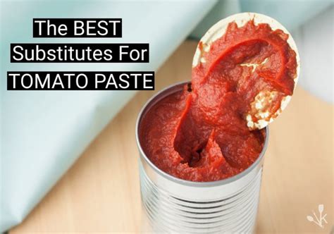 12 BEST Tomato Paste Substitutes & Alternatives | KitchenSanity