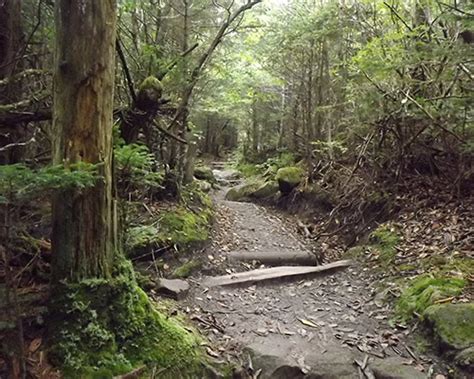 Gatlinburg, TN Hiking Trails: Area Info Region/Category