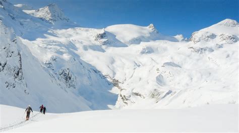 Bernina Guided Ski Tours