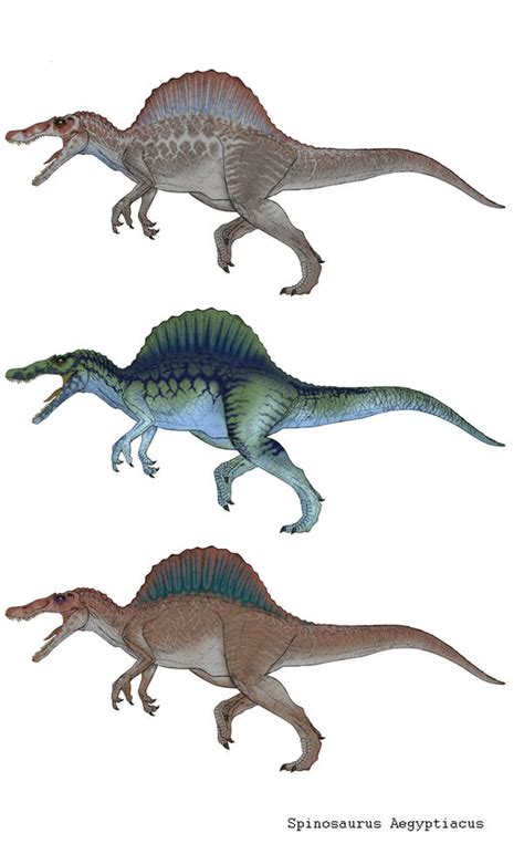 Spinosaurus Aegyptiacus Variations by March90 on DeviantArt