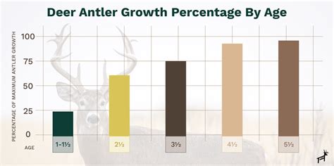 3 Most Important Factors for Deer Antler Growth