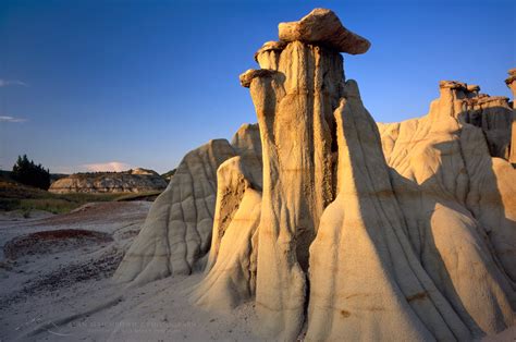 Theodore Roosevelt National Park Archives - Alan Majchrowicz Photography