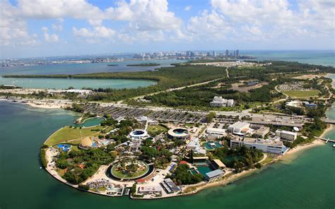 Miami Seaquarium, Welcome To The Family! - The Dolphin Company