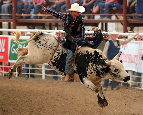 Cowboy On Bull Rider Quotes. QuotesGram