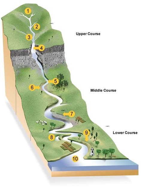 river formation diagram - Google Search | Geography project, Physical geography, Earth science ...