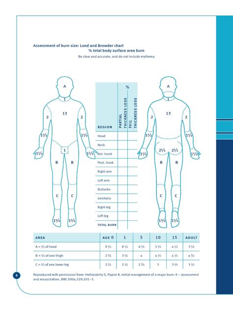 Lund and Browder Chart | PDF | Burn | Skin