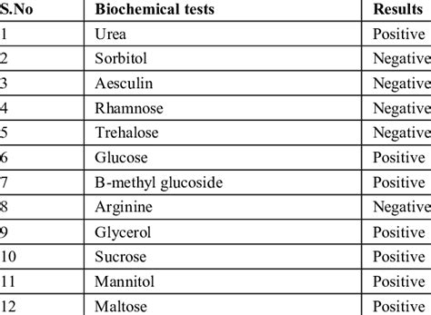 Biochemical tests for Bacillus cereus | Download Scientific Diagram