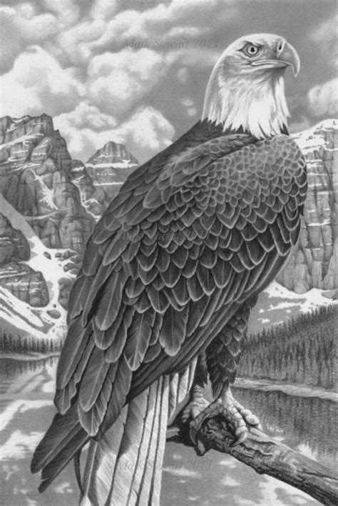 Bald Eagle by markstewart on deviantART | artt! :-D | Pinterest | Bald ...