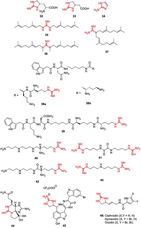 Guanidine derivatives isolated from natural sources. | Download ...