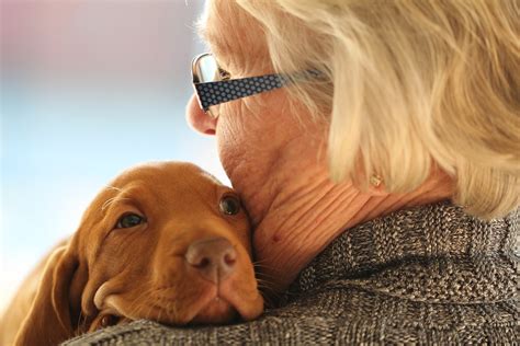 The 8 Best Dog Breeds for Seniors