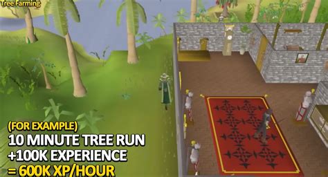 Complete Tree Farming Guide for OSRS - Tree Run Guide