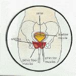 Bladder Infection Causes and Treatment | Urinary Bladder Infections and Treatment