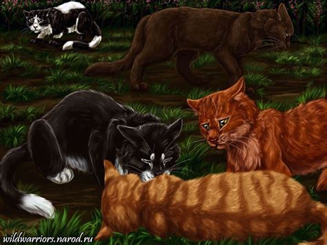 Tallstar's Revenge. Chapter 16 by Vialir on DeviantArt | Warrior cats art, Warrior cats, Warrior ...