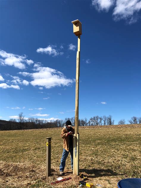 Crow's Nest: New kestrel box - Natural Lands