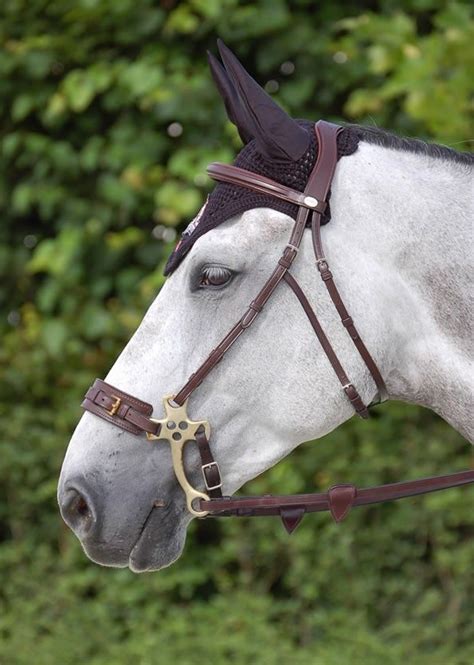 Dy'on hackamore bridle 'new english' | Horses, Bridles, Horse bridle