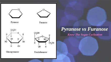 Pyranose vs Furanose- Know The Sugar Cyclization