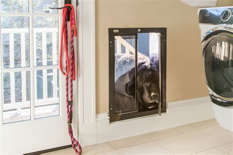 How To Install a Dog Door - This Old House