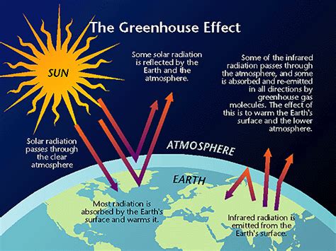 Greenhouse Gases and the Infrared Gas Analyzer