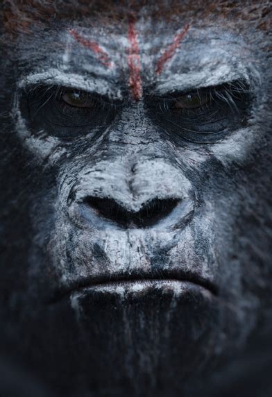 Maurice | Rise of the Planet of the Apes Fanon Wiki | Fandom