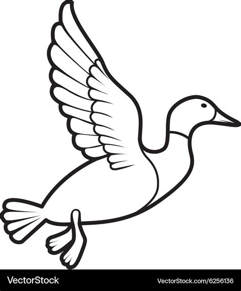 Flying duck Royalty Free Vector Image - VectorStock