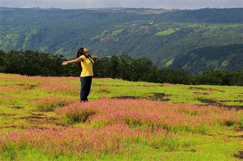 Kas Pathar Satara : When Maharashtra blooms