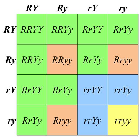 Mendel's phenotypic ratio in dihybrid cross is 9:3:3:1,what does it ...