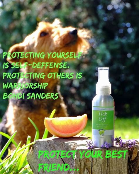 Natural Tick Repellent Spray For Dogs | Vita Canis | Tick repellent, Natural tick repellent ...