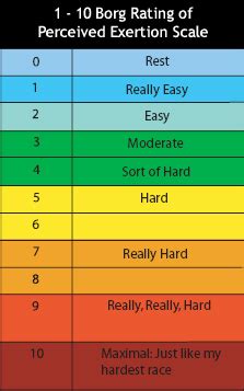 Borg Scale - RPE - ACL mangement