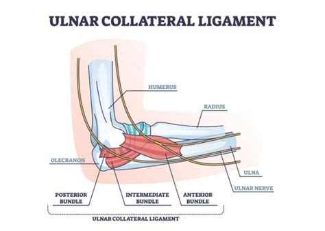 Medial Ulnar Collateral Ligament Tear - An Tâm