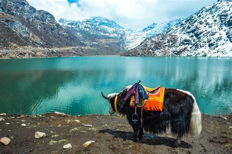 Top Things to Do in Sikkim, India