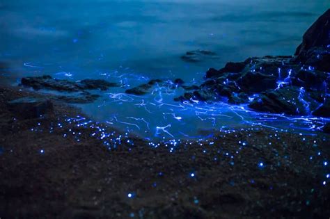 These Weeping Stones Bleed Blue Glowing Blood In Japan