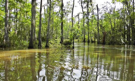 East Texas lakes, list of lakes, lake sizes in acres, and map of East ...