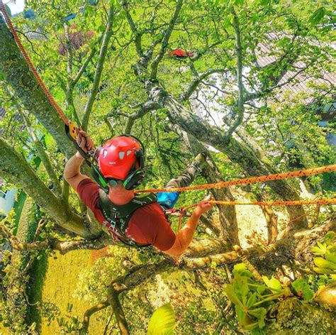 Kask Climbing Helmet Reviews: What Arborists REALLY Think