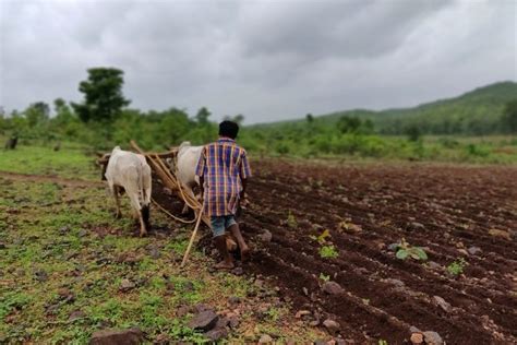 Dryland Farming: Techniques Need Change – The Dispatch