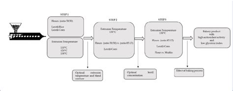 Experimental design. | Download Scientific Diagram