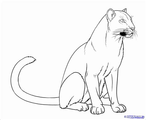 Coloring Picture Of Lions Elegant Coloring Sheets Cute New Cute Tiger Coloring Pages Awesome ...