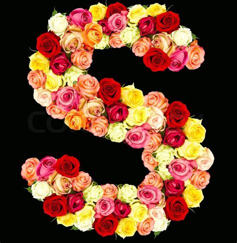 S, roses flower alphabet, isolated on ... | Stock image | Colourbox